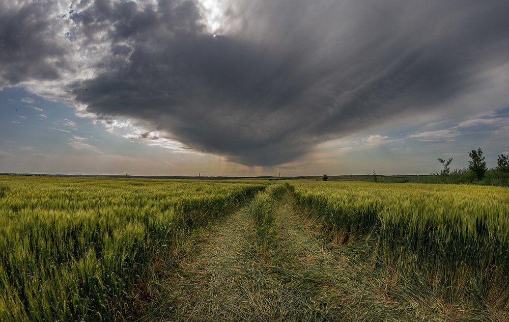 Фотография автора 