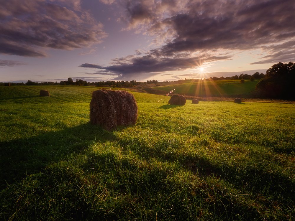 Photograph by Валерий Шейкин