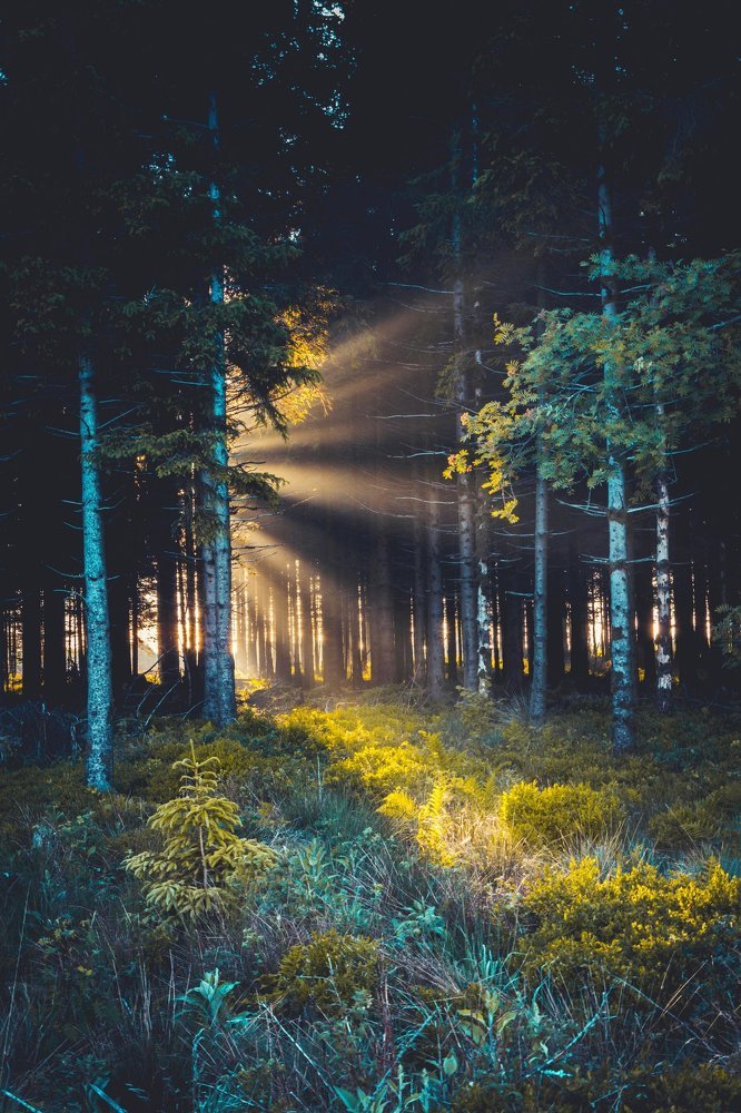 Photograph by fabian vaxelaire