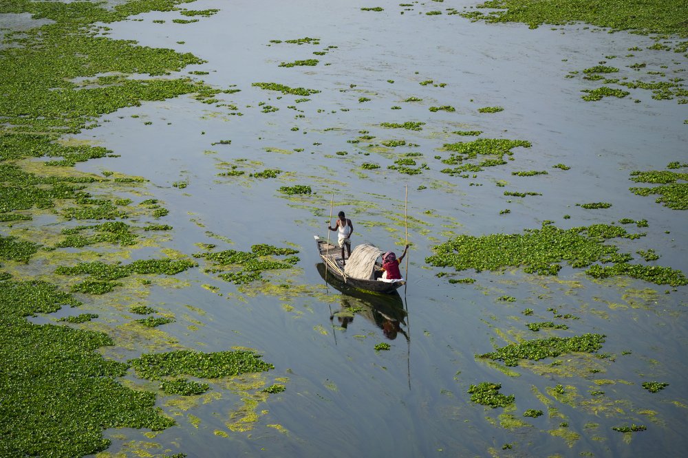 Photograph by Foysal Mehedi