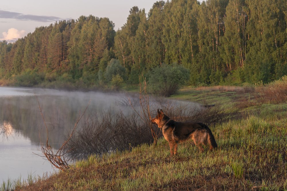 Фотография автора Галина Луценко