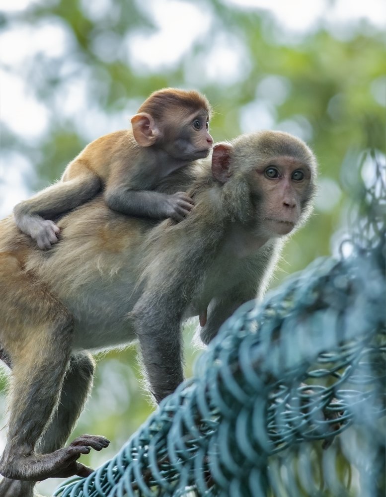 Photograph by Souvick Mukherjee