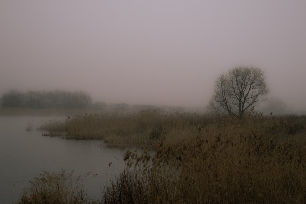 Photograph by Виктор Зотов