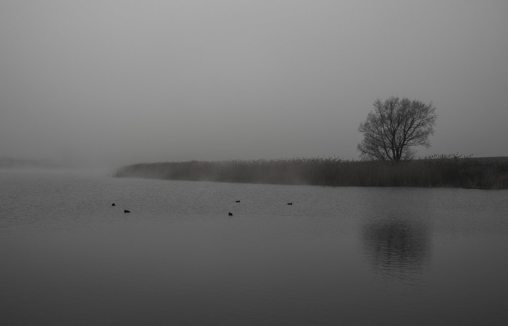 Туман на озере