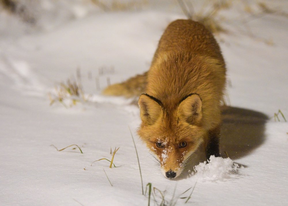 Photograph by Mihail Frolov