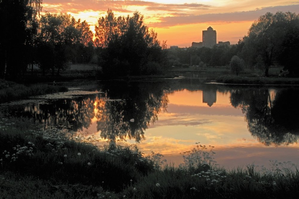 Закат в Муринском парке.