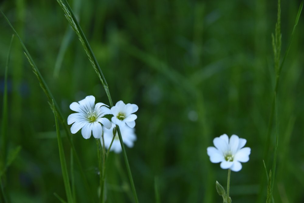 Photograph by Семен Батов