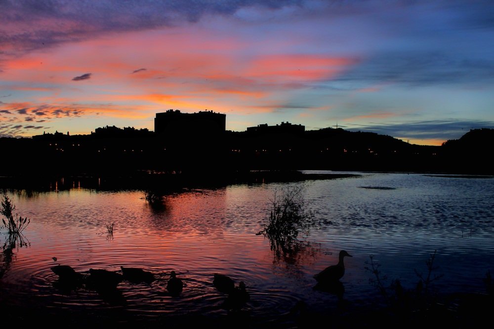 Photograph by Francisco Ferreira