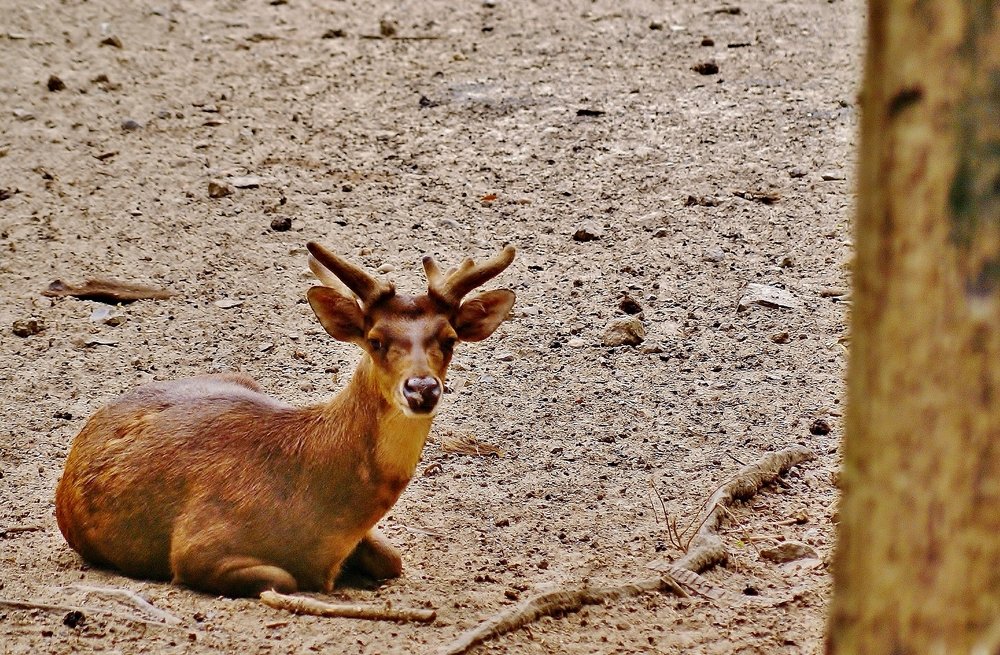 Photograph by Mauricio Brasilli