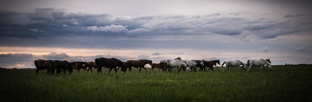 Photograph by Илья Сигунов