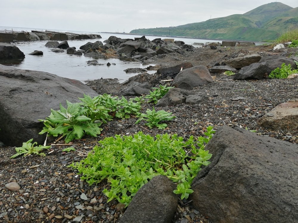 Photograph by Анжелика Гончарова