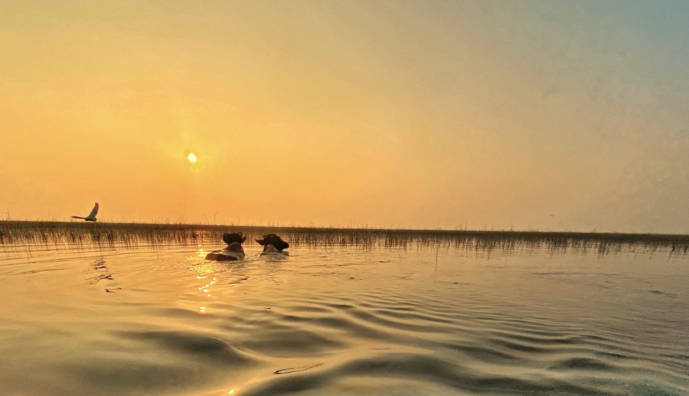 Photograph by Nishant Vyas