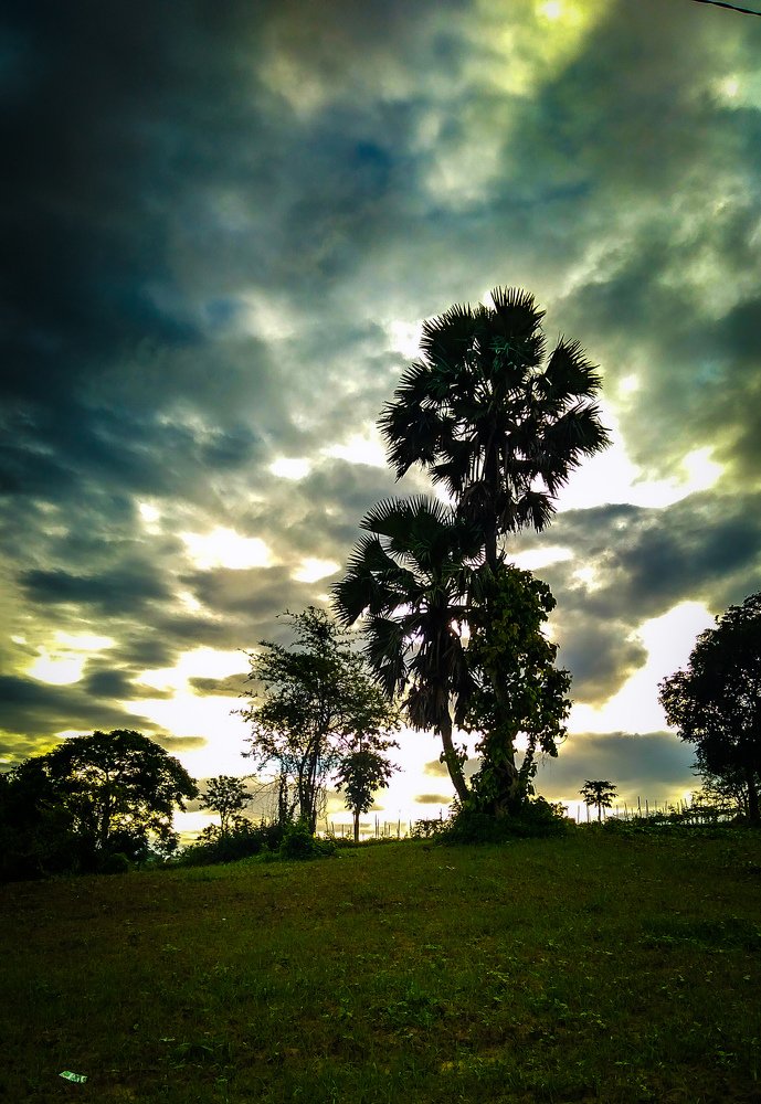 Photo #4679464