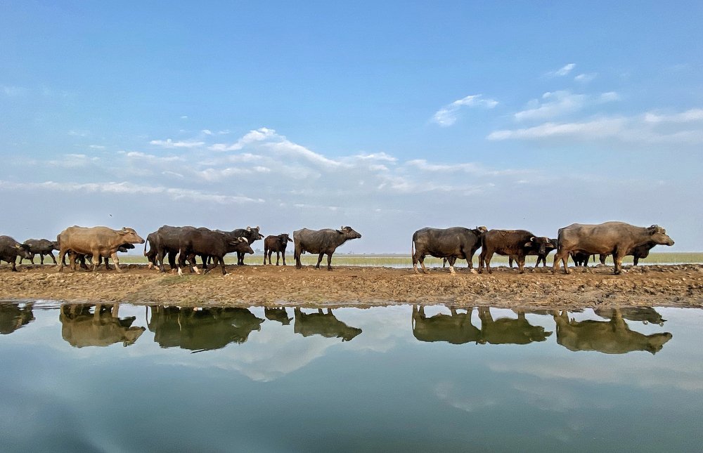 Photograph by Nishant Vyas