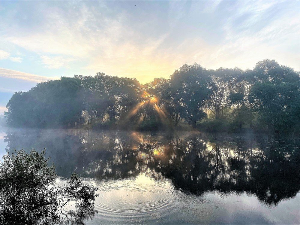 раннее утро на старице