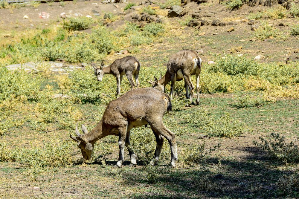 Фотография автора Сергей Дорошенко
