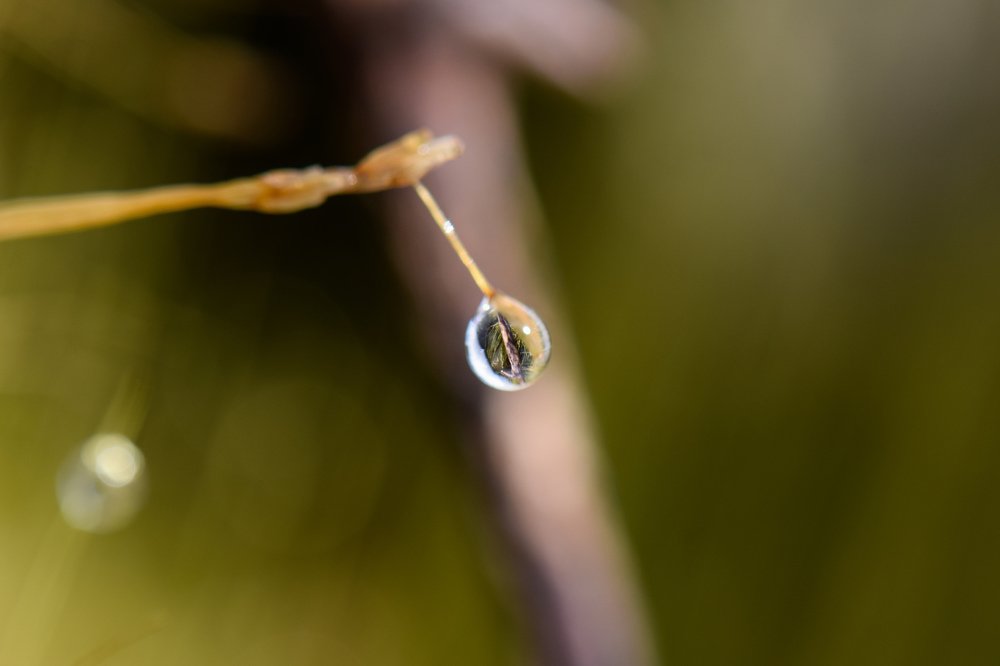 Фотография автора Сергей Дорошенко