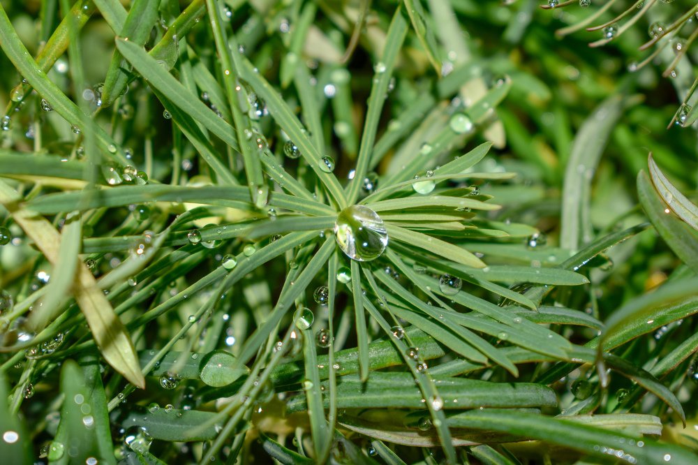 Фотография автора Сергей Дорошенко