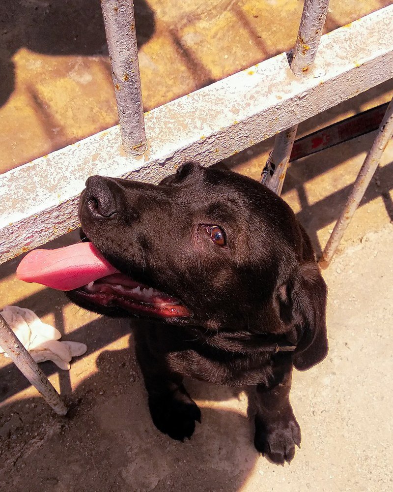 Photograph by Omar Marmanillo Prado