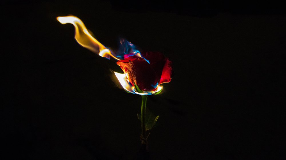 Photograph by Илья Иванов