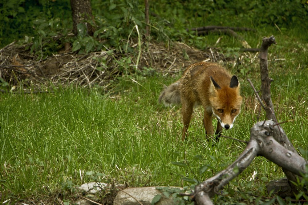 Photograph by Илья Иванов