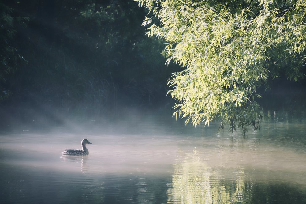 Moscow, Russia, Yauza river
