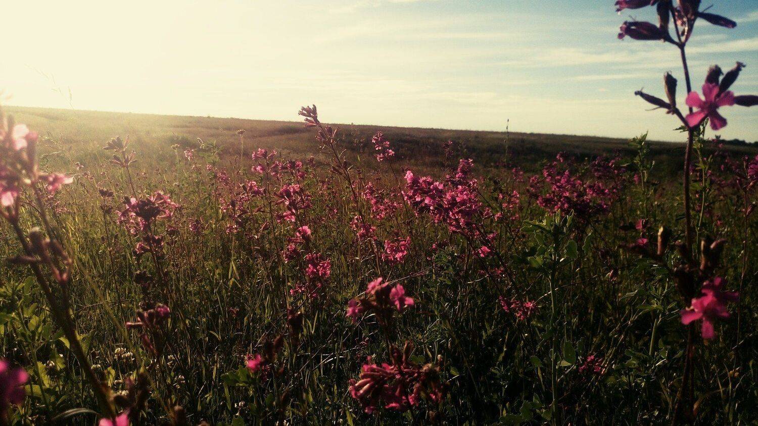 Photo #4679764