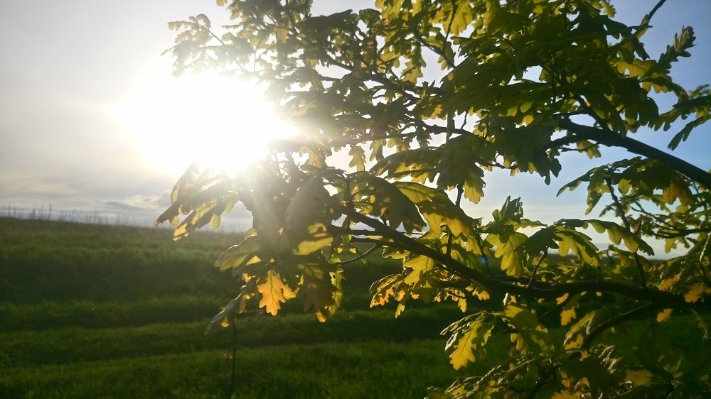 Photo #4679781