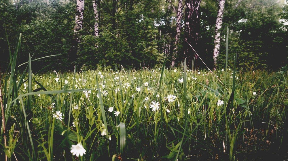 Photograph by Анастасия Пониткова
