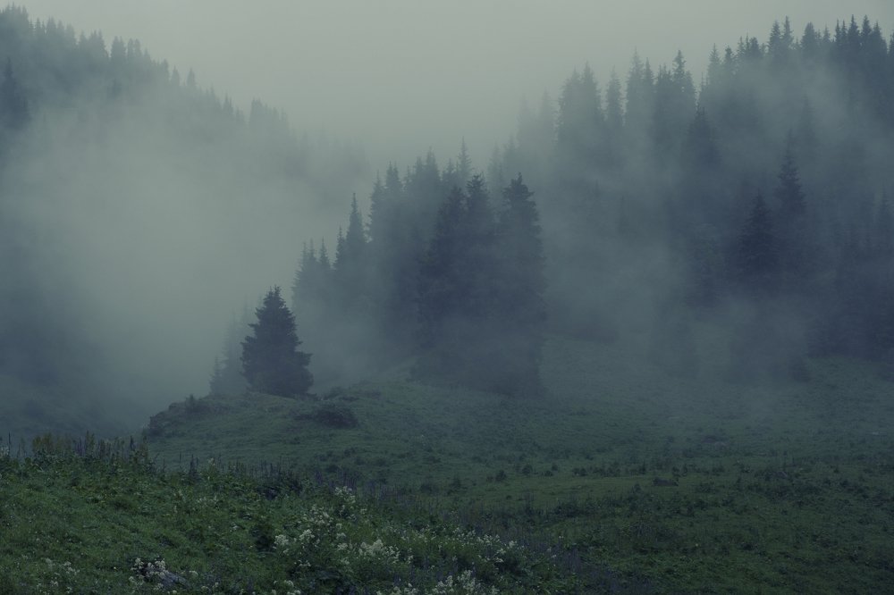 Photograph by Светлана Краюшкина