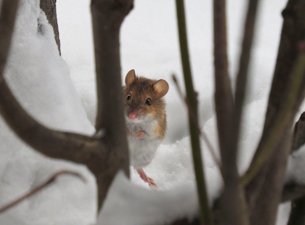 Photograph by Наталия Васильева