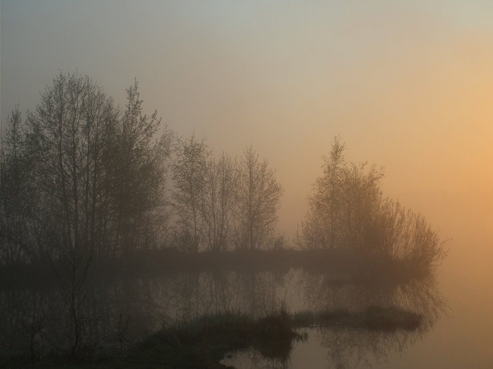 Photograph by Светлана Богомолова