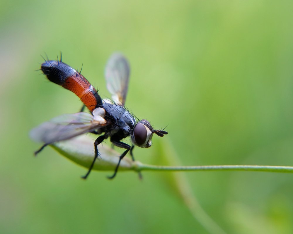 Фотография автора Дмитрий Деревянко