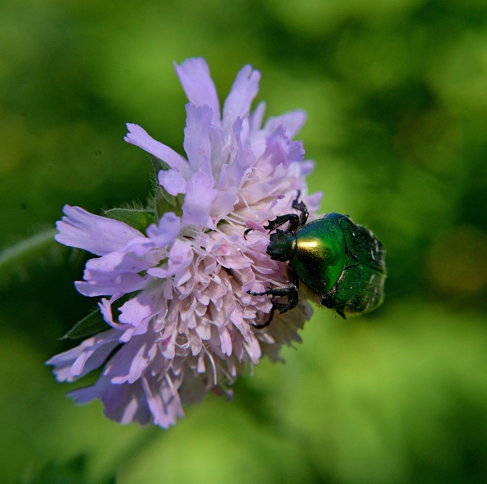 Photograph by Алексей Козлов