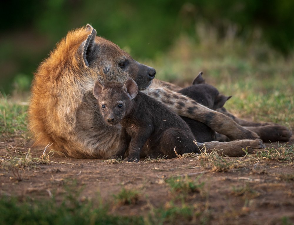 Фотография автора Ravikumar Kannaiyan
