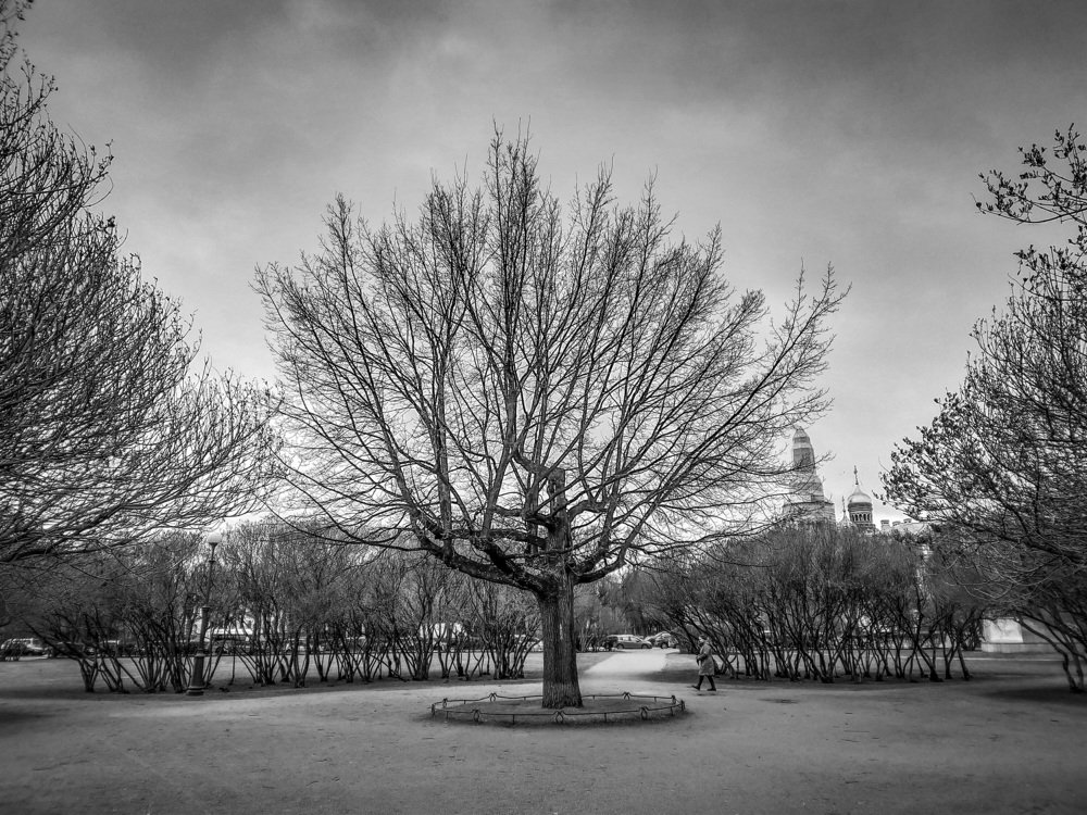 Photograph by Денис Шевелев