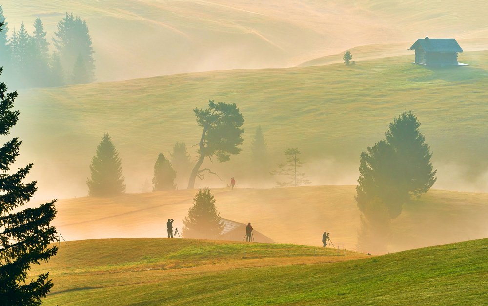 Photograph by Elena Turkov