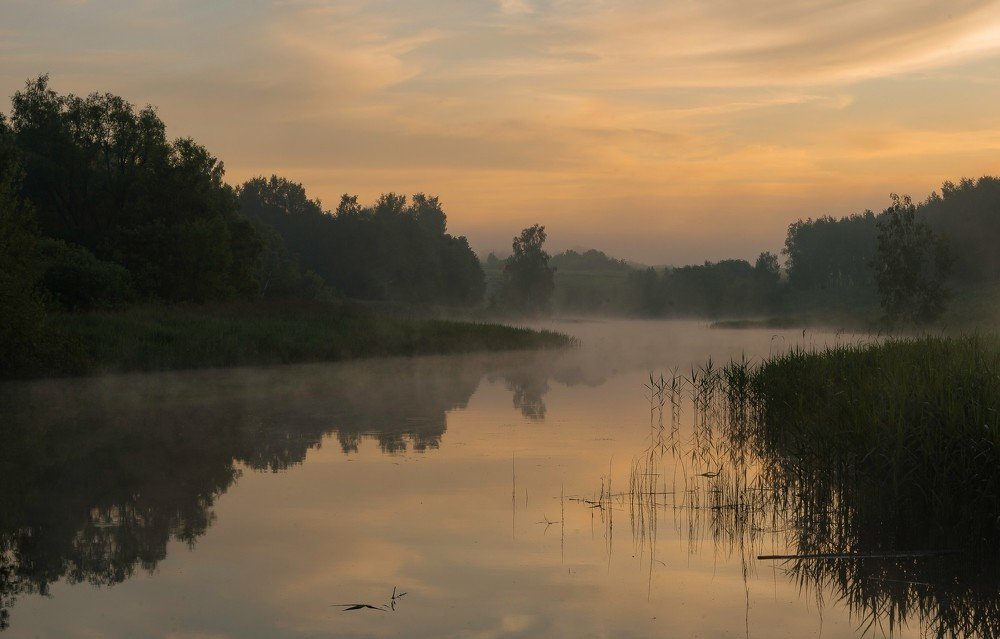 Р. Олень