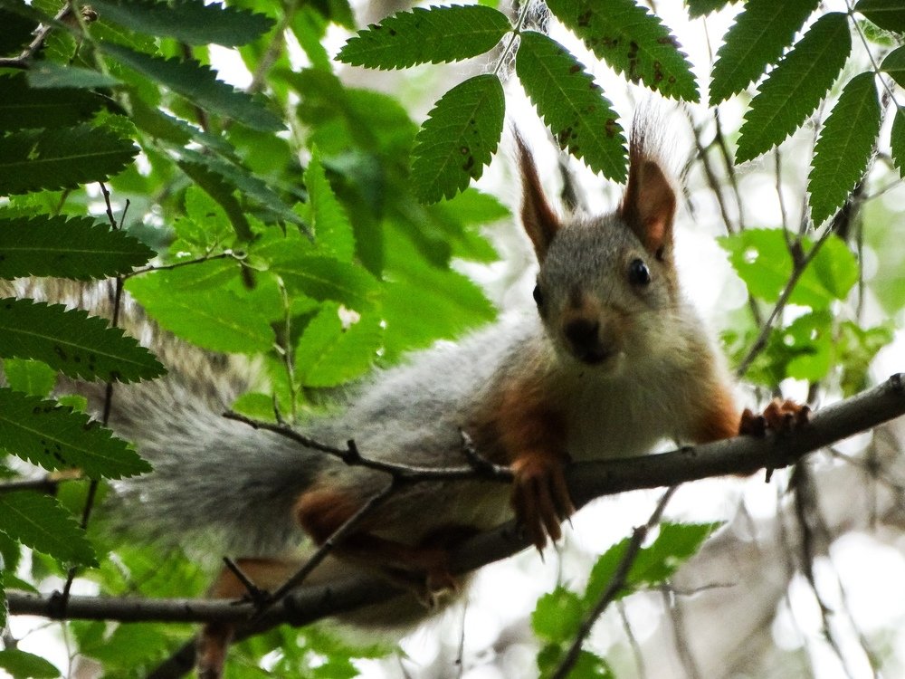 Photograph by Анжелика Трошина