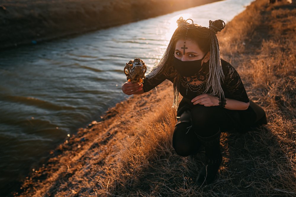 Фотография автора Дарья Шевченко