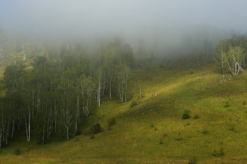 Photograph by Евгений Зинов