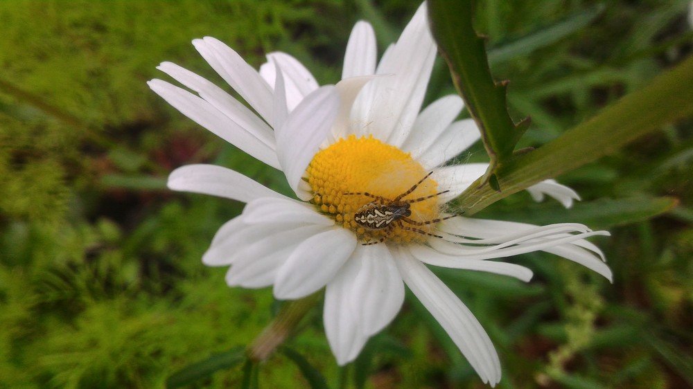 Photo #4680297