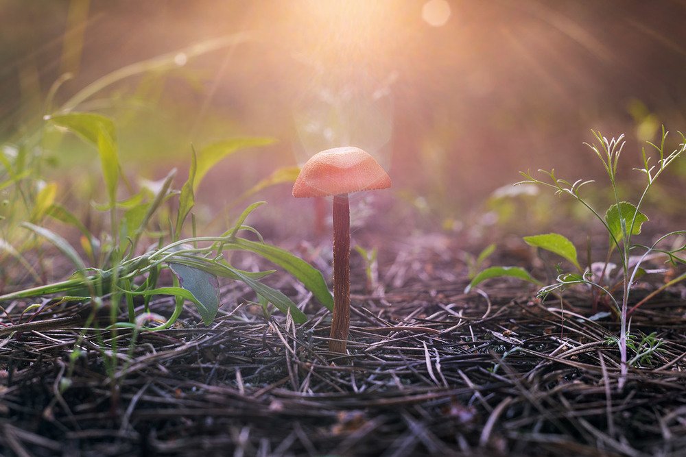 Photograph by Валерий Вторыгин