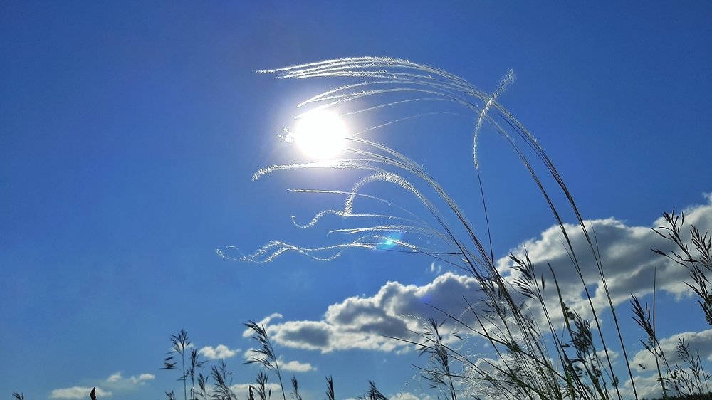 Photograph by Юлия Серазетдинова