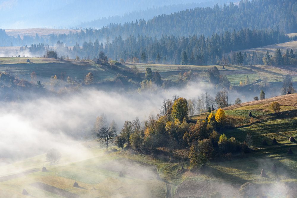 Photograph by Крицак Ольга