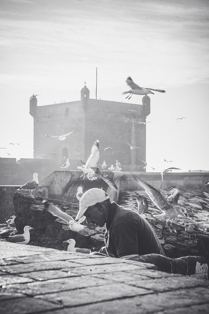 Фотография автора Dmitry Leonov