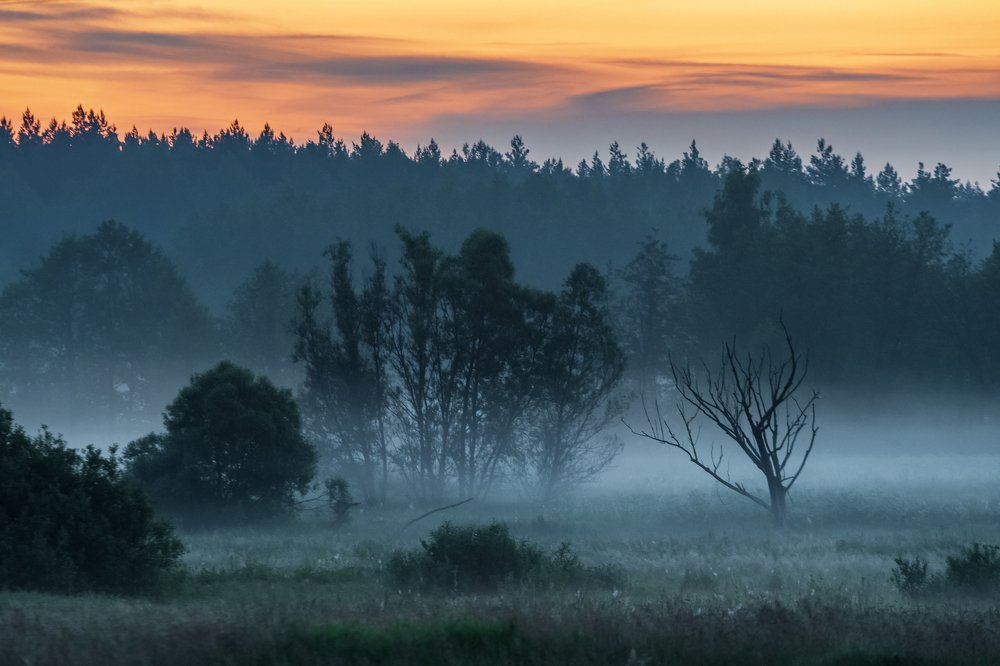 Photograph by Демьян Лопатов