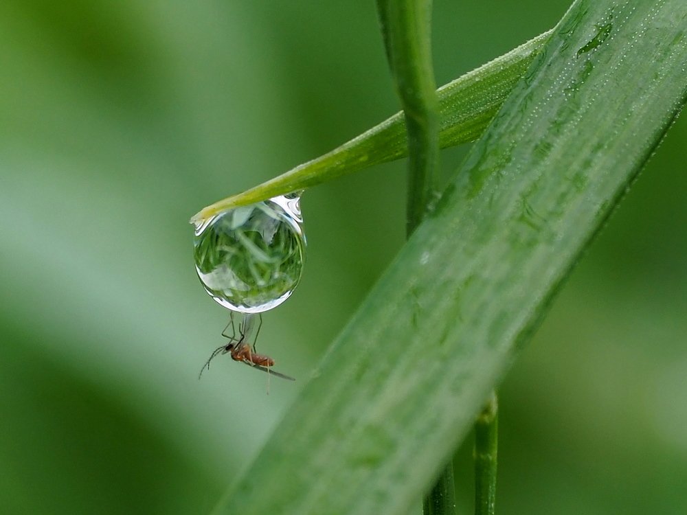 Имидж ничто-жажда все!!!
