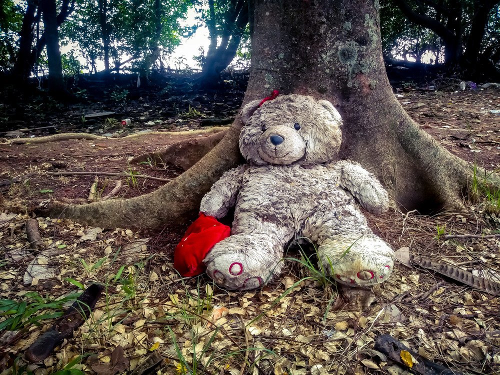 Photograph by Andre Nunes