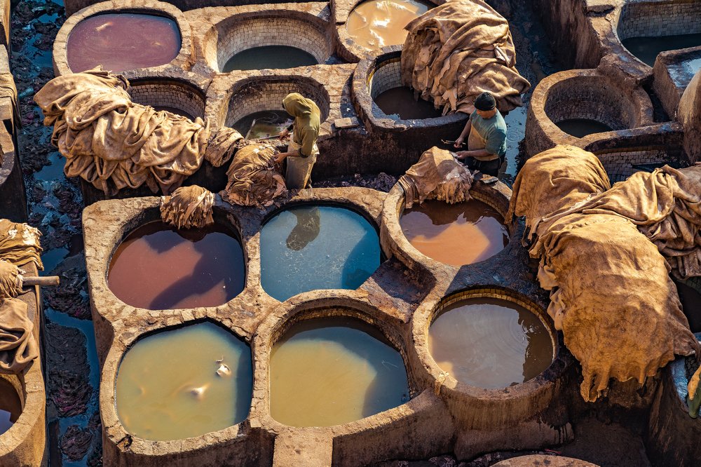 Фотография автора Dmitry Leonov